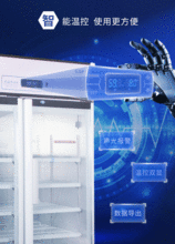 網(wǎng)絡(luò)技術(shù)開(kāi)發(fā) 連接未來(lái)的橋梁與引擎