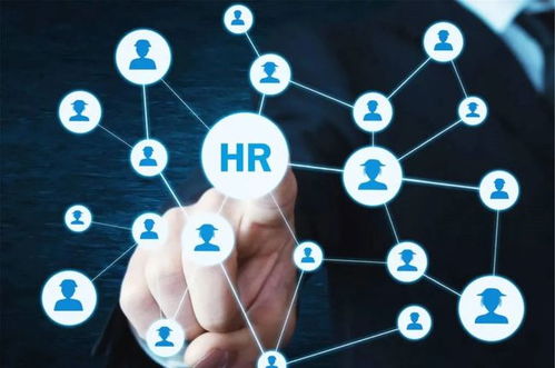 農(nóng)業(yè)“新農(nóng)人” 想做風(fēng)口上的“智能豬”，技術(shù)開(kāi)發(fā)能力不可少